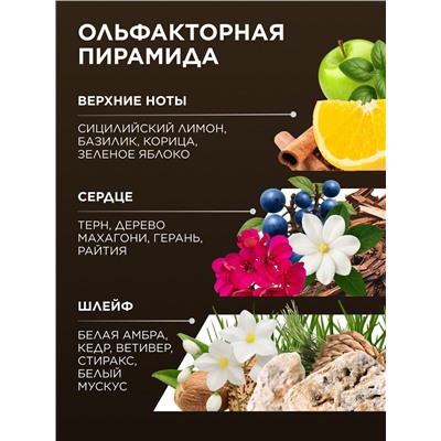 Туалетная вода для мужчин Don Leon