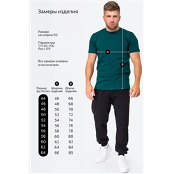 Мужская футболка Happyfox