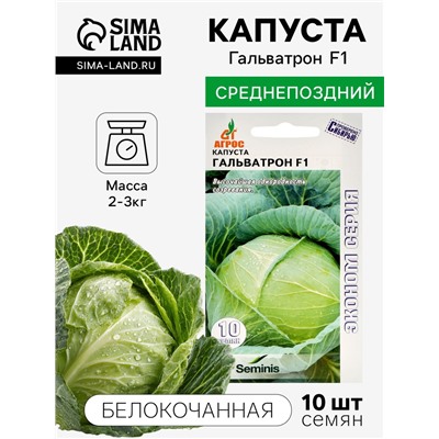 Семена Капуста белокочанная, «Гальватрон», F1, 10 шт., Seminis, «Агрос»