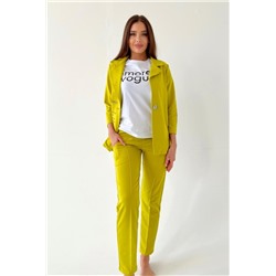 Брюки 8192 (Желто-горчичный)
