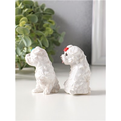 Сувенир полистоун "Белые терьеры с бантиками" набор 2 шт 3,7х5,2х6,2 см