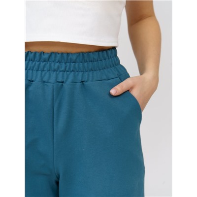 Шорты Ш-02 (Петроль)