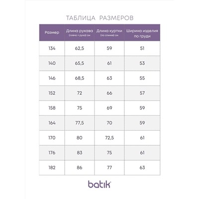 BATIK Ветровка 673-24в-3