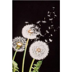 Лонгслив АПРЕЛЬ, 898392