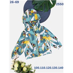 Ветровка 2550 изумруд