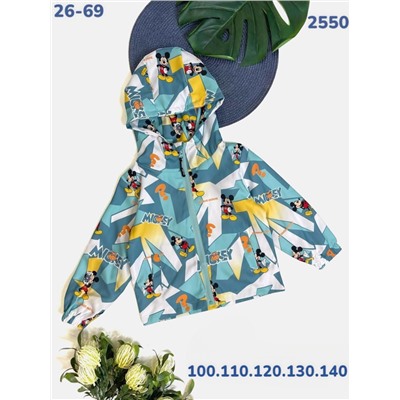 Ветровка 2550 изумруд