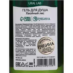 Подарочный набор Bright Christmas night, гель для душа и шампунь для волос 2×300 мл, URAL LAB