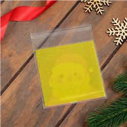 Пакет подарочный новогодний БОПП с липкой лентой, «Портрет», 10×11 см