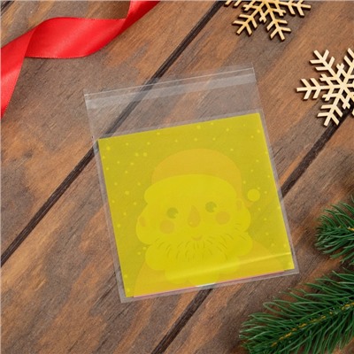 Пакет подарочный новогодний БОПП с липкой лентой, «Портрет», 10×11 см