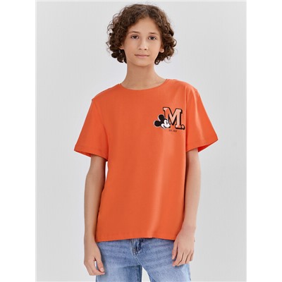 ФУТБОЛКА ДЛЯ МАЛЬЧИКОВ 113432