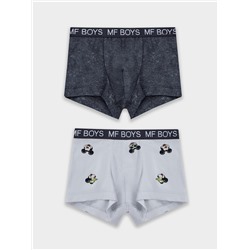 ТРУСЫ ДЛЯ МАЛЬЧИКОВ (2ШТ.) 413345-2