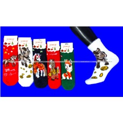 MORRAH носки подарочные НОРКА КАШЕМИР Символ 2026 года арт. 2659