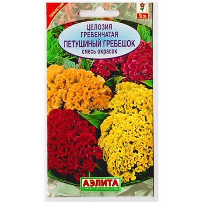 Целозия Петушинный гребешок (Код: 7693)