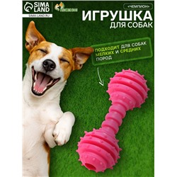 Игрушка жевательная «Чемпион», TPR, 12.5 см, розовая