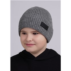 CLEVER Шапка