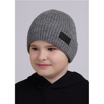 454896 CLEVER Шапка