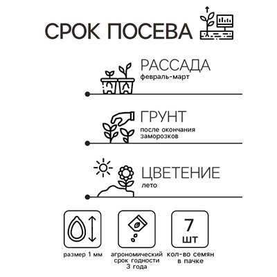Семена цветов Катарантус "Тату Палайя", 7 шт