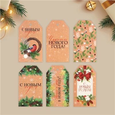 Шильдик новогодний декоративный в наборе «Время чудес», 6 шт., 9×5 см