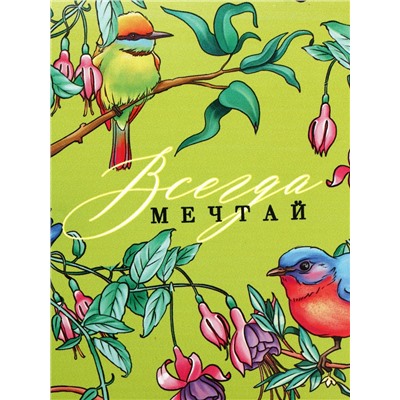 Ланч - бокс прямоугольный «Мечтай», 1200 мл