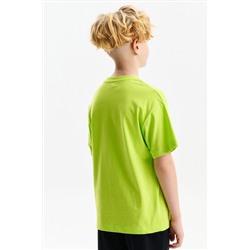 Футболка для мальчиков PELICAN, 1232805