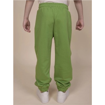 PELICAN Брюки BFPQ3321U