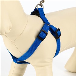 Комплект «Базис», поводок 120×1.5 см, шлейка 32-46×1.5 см, синий