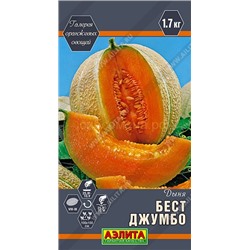 Дыня Бест Джумбо (Аэлита)