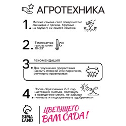 Семена  Петуния "Мамбо" F1 фиолетовая многоцветковая,набор 5 шт