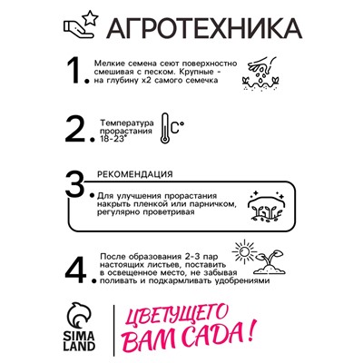 Семена  Петуния "Мамбо" F1 фиолетовая многоцветковая,набор 5 шт