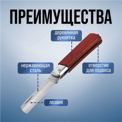 Нож универсальный складной ТУНДРА, деревянная рукоятка, прямое лезвие, нержавеющая сталь