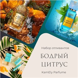 Набор отливантов "Бодрый цитрус"