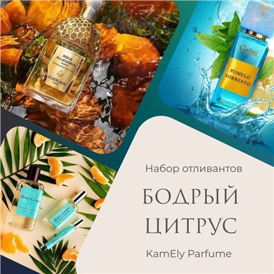 Набор отливантов "Бодрый цитрус"