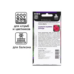 Семена цветов Катарантус Пацифика  "Бургунди" 10 шт