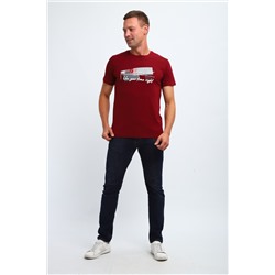 Футболка мужская 058