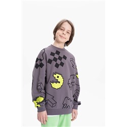 BFN3369/2 (Толстовка для мальчика, Pelican )