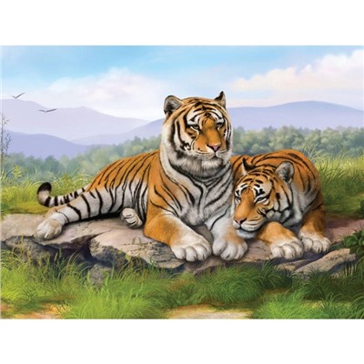 Алмазная мозаика с полным заполнением на холсте «Тигры», 30×40 см