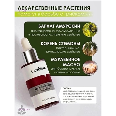 Сыворотка 1931819-1