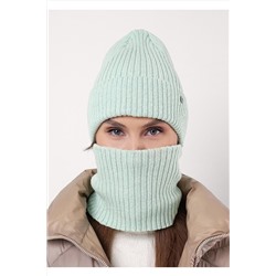 Комплект (Шапка+Снуд) CLEVER, 1068676