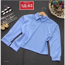 кофта 1977960-1