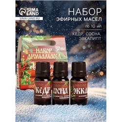 Новогодний набор эфирных масел «Хозяину бани!», сосна, кедр, эвкалипт, 3 шт. по 10 мл