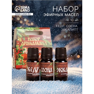 Новогодний набор эфирных масел «Хозяину бани!», сосна, кедр, эвкалипт, 3 шт. по 10 мл