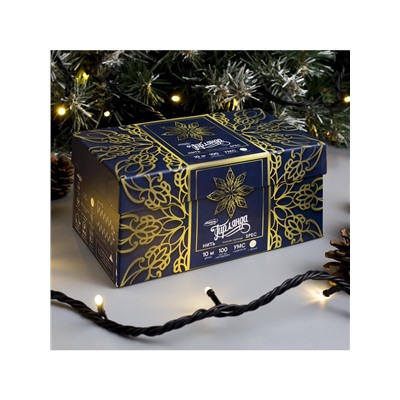 Гирлянда «Нить» 10 м, IP44, УМС, тёмная нить, 100 LED, свечение тёплое белое, мерцание белым, 220 В