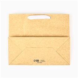 Пакет подарочный новогодний крафтовый с пластиковым окном Gold, 24×20×11 см