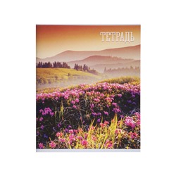 Комплект тетрадей, 48 листов в клетку, Calligrata «Времена года», серые листы, 4 штук