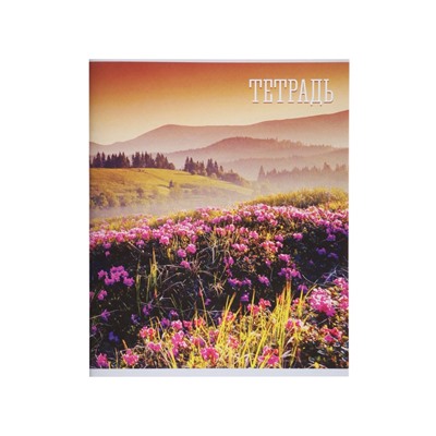 Комплект тетрадей, 48 листов в клетку, Calligrata «Времена года», серые листы, 4 штук