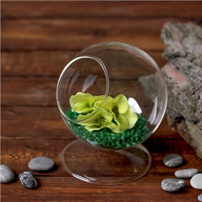 Флорариум «Натурель», сфера, 14×11 см, d=7.7 см