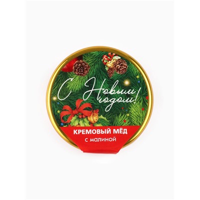 Мёд муссовый «С новым годом!», с малиной, 30 г