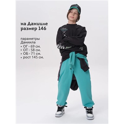 PELICAN Толстовка BFN3369/1