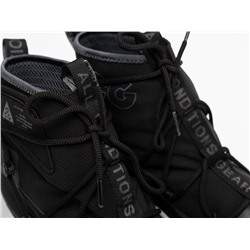 Кроссовки Nike ACG Air Terra Antarktik