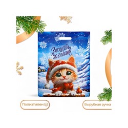 Пакет подарочный новогодний «Загадай желание», полиэтиленовый с вырубной ручкой 37×46, 60 мкм
